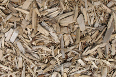 biomass boilers Long Lee